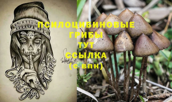 мет Арсеньев